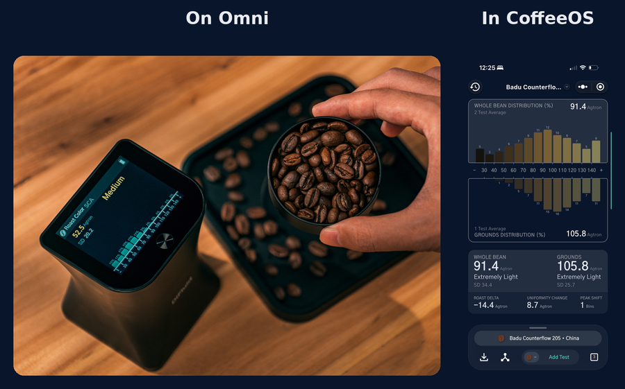Guía completa de Omni